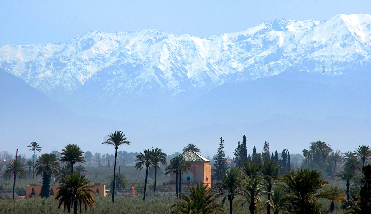 free-photo-of-landscape-of-palm-trees-and-the-atlas-mountains-in-marrakech-morocco